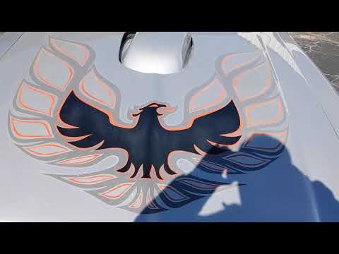 1975 Pontiac Firebird Trans Am (CC-1433031) for sale in Simpsonville, South Carolina