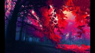 Red - Gravity Lies (Lyrics)