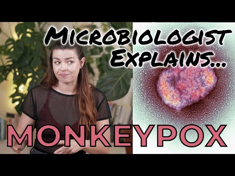 Everything you need to know about Monkeypox (so far)