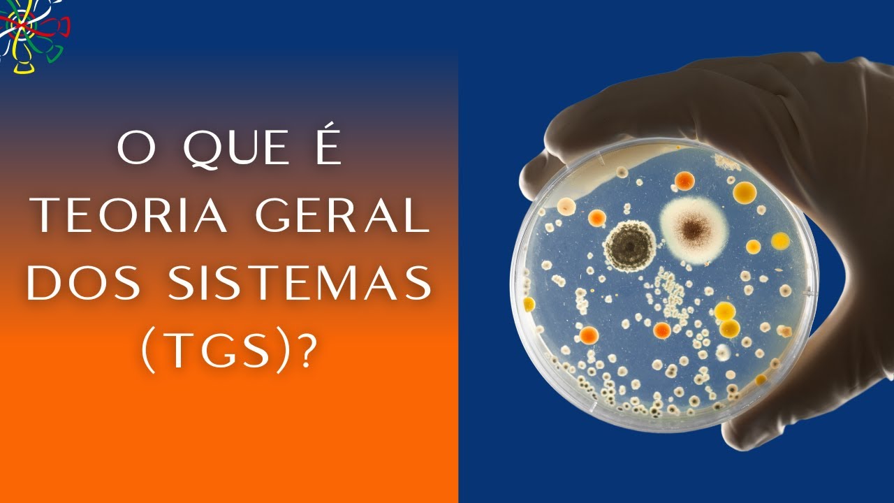 O que é a Teoria Geral dos Sistemas?