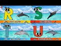 ABC Dolphin Parade From Atlantic Spotted To Zebra Dolphin Abcd Kids