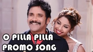 Bhai Movie &quot;O Pilla Pilla&quot; Promo Song || Nagarjuna Akkineni, Richa Gangopadhya, Devi Sri Prasad