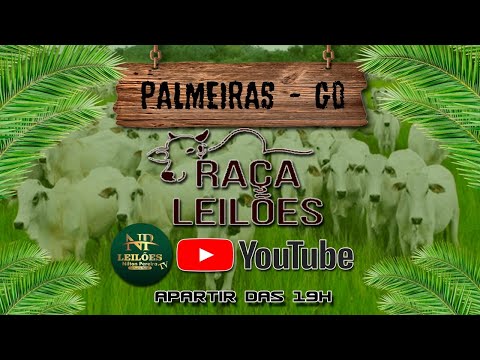 RAÇA LEILÕES - PALMEIRAS DE GOIÁS  20/10/2025