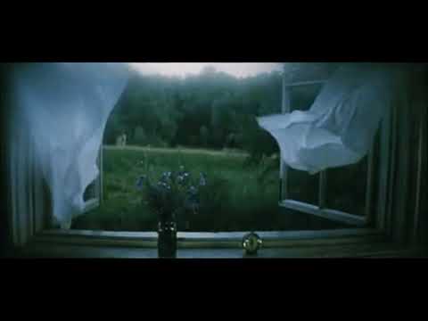 Daniel Verhagen - Bora