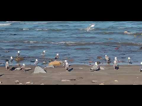 It's a beautiful afternoon at seeb beach 