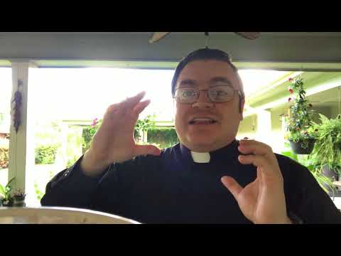 Mk 4, 26-34 “once sown, it grows and becomes the largest of shrubs...”