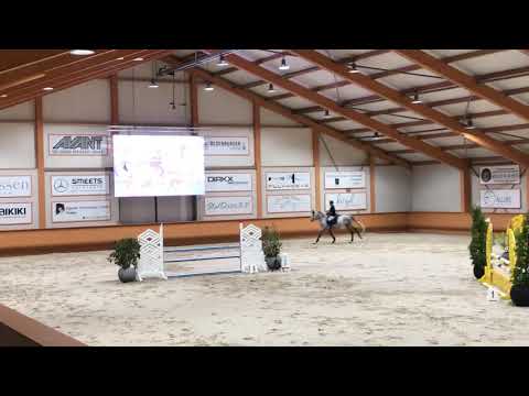 Manuel Albano - Elegibo’ ( Berlin x Clinton ) 2015