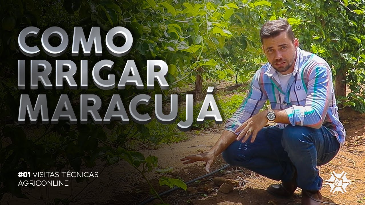 COMO FAZER A IRRIGAÇÃO NO MARACUJÁ? | VISITAS TÉCNICAS #01
