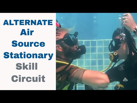 PADI Skill Circuit - Alternate Air Source Stationary Divemaster & PADI IDC Skills Circuit