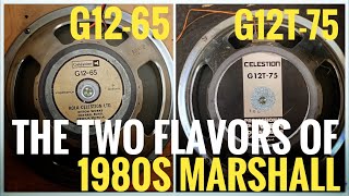 Video thumbnail for The Two Different Sounds of 1980s Marshall Amps! G12T-75 vs G12-65 by Johan Segeborn