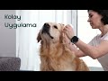 Vet's Plus Yavru Köpek Tuvalet Eğitim Spreyi 100ml