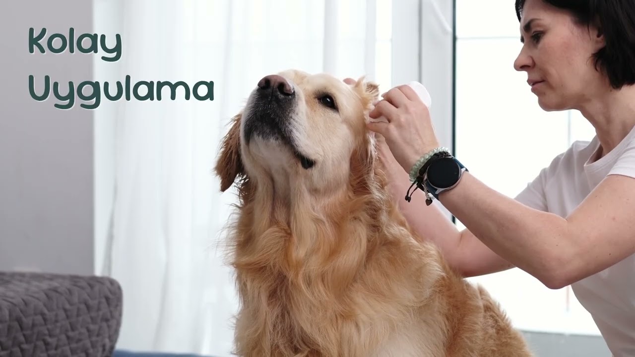Vet's Plus Yavru Köpek Tuvalet Eğitim Spreyi 100ml tanıtım video görseli