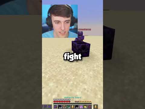 I Fought The Best Minecraft Player