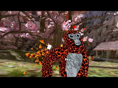 Blaze tag 