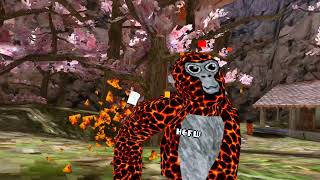 Blaze tag 