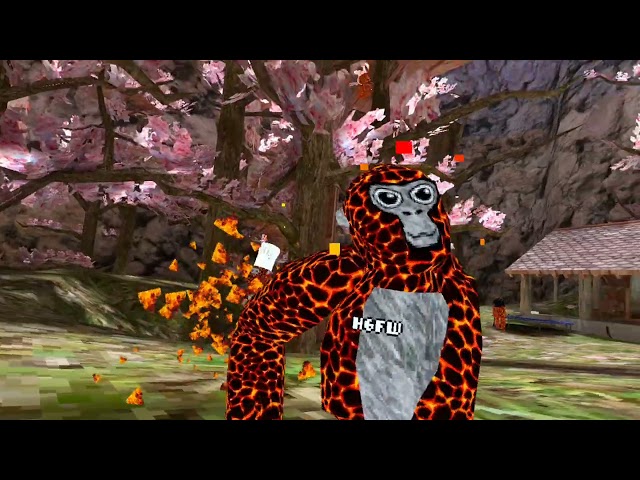 Blaze tag 