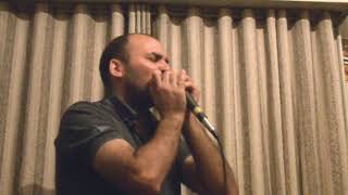 ELUVEITIE - The Call Of The Mountains (Audio HQ) -harmonica cover-