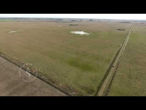 Vera y Pintado, Santa Fe.