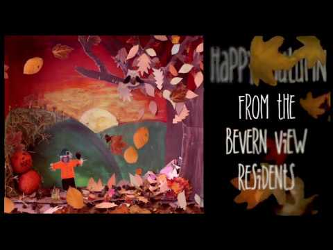 Autumn at Bevern View 2016