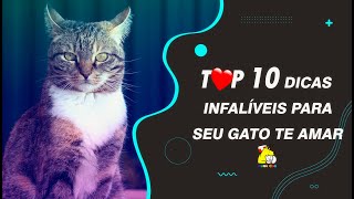 10 Dicas Infalíveis para seu gato te amar