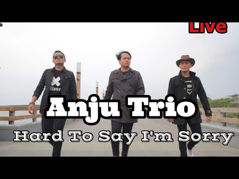 ANJU TRIO (CHICAGO) ~ Hard To Say I'm Sorry (Live)