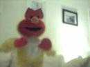 The Death Of Chicken Elmo