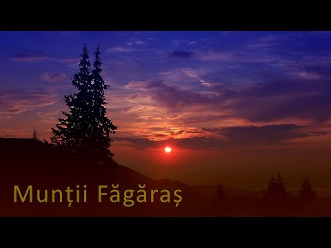 Făgăraș | Tare fain la Cabana Bârcaciu