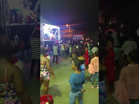 Terra D Governer, Buckwild & Skull Dwag performing at St Patrick's Carnival Launch 2019