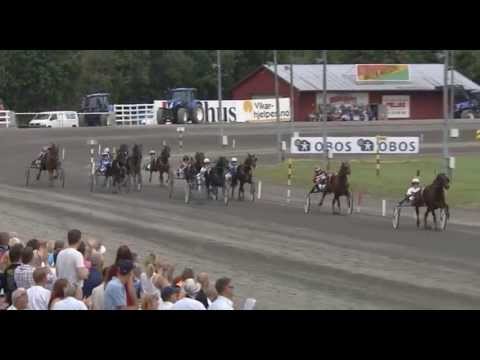 Clint W.Boko_Robin Bakker_NEW HOLLANDS 4 ÅRSLØP_Jarlsberg_Norway