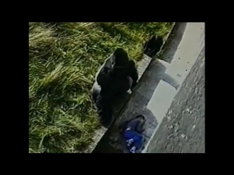 Rescue Of Levan Merritt