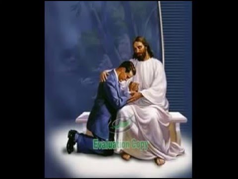 David Obregon (Brilla en el sitio donde estes)