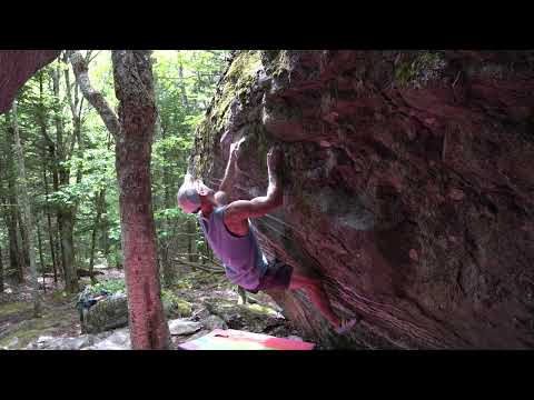Frisky Monkey - V6
