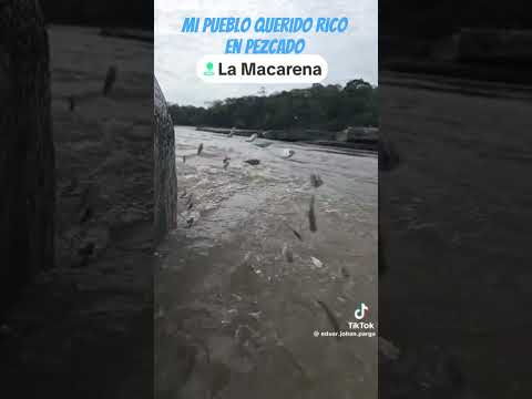 mi pueblo natal la Macarena meta