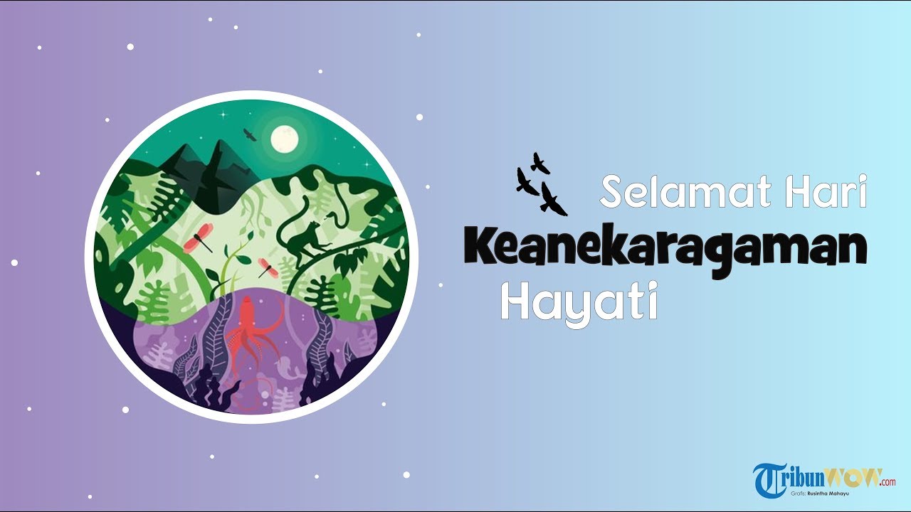 KABAR APA HARI INI Hari Keanekaragaman Hayati Tribun Video