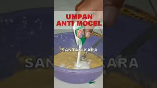 Download lagu Umpan jagung Ikan Mas #shorts #umpan #fishing #mancingikan #mancing mp3 Download lagu Umpan jagung Ikan Mas #shorts #umpan #fishing #mancingikan #mancing mp3