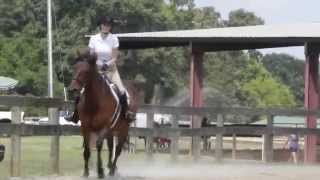 Four Seasons Show - Equitation Over Fences