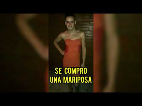 Mueka - Papanuela ft COMADREJA