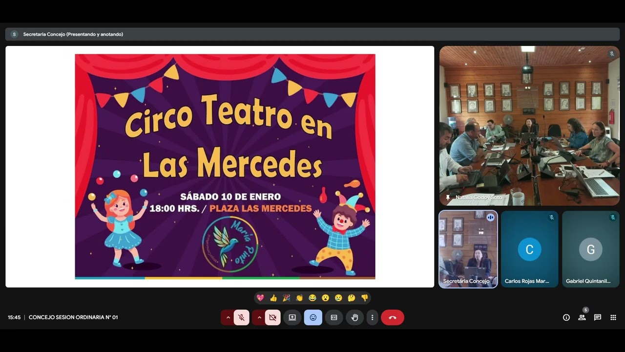 CONCEJO SESION ORDINARIA N° 01 08/01/2026