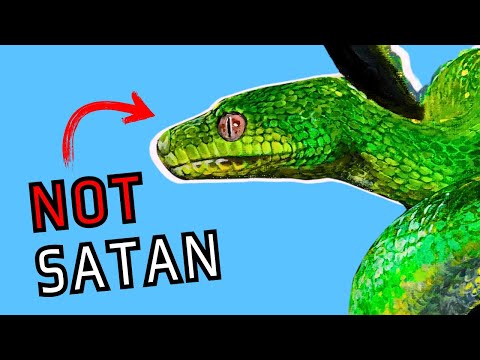 Bible Accurate Satan, explained in 10 minutes