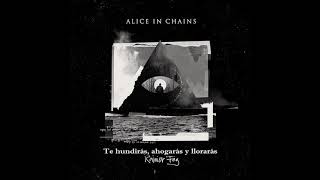 Alice in Chains - Fly (Sub. Esp.)