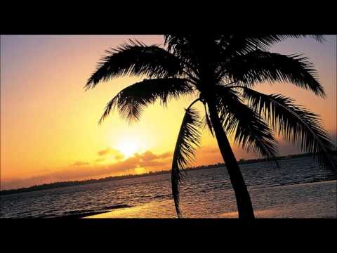 Ray Horton - Hotel California