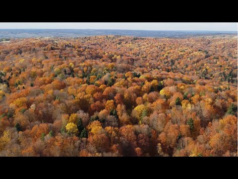 Jesienne Roztocze - Kawęczynek z lotu ptaka