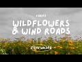 Wildflowers & Wind Roads - Stecy Wilson