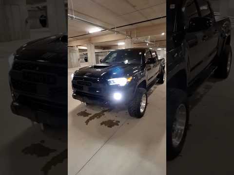 2023 Toyota Tacoma for sale at North London Toyota in London, ON