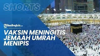 Kemenag Ungkap Vaksin Meningitis untuk Jemaah Umrah Menipis, Kemenkes Tolak Berikan Keringanan