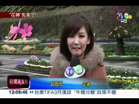 陽明山花季到 年初三賞櫻去!