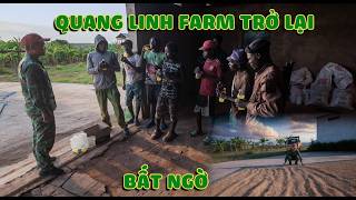 Quanglinhvlogs || Trở Lại QL Farm Sau 1 Thời Gian - Bất Ngờ Vì Sự Chủ Động Làm Việc Của Mọi Người