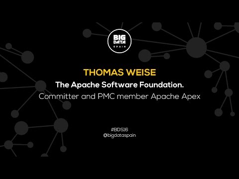 Interview to Thomas Weise at Big Data Spain 2016