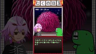 まるでクリーチャー！！？な深海生物「ダーリアイソギンチャク」さん
