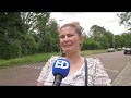 Eikenprocessierups terroriseert bewoners Eindhovense straat